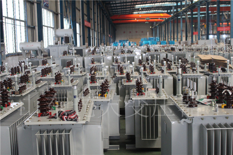 定陶S22-800KVA/10KV