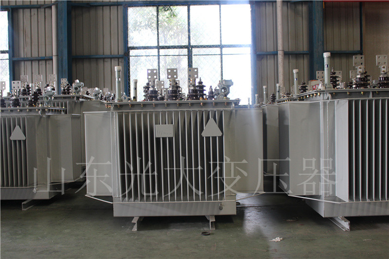 定陶S20-500KVA/10KV